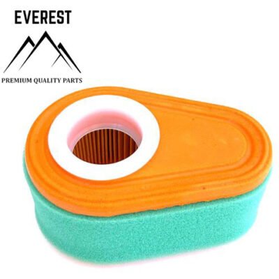 Oro filtras Briggs&Stratton DOV