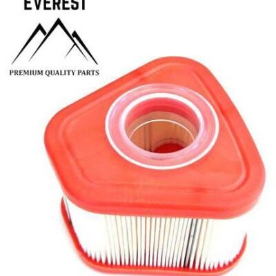 Oro filtras FILTER BRIGGS & STRATTON SERIJA 850