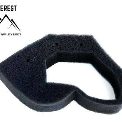 Oro filtras HONDA GX25