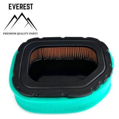 Oro filtras Kohler 2 cilindrų Everest