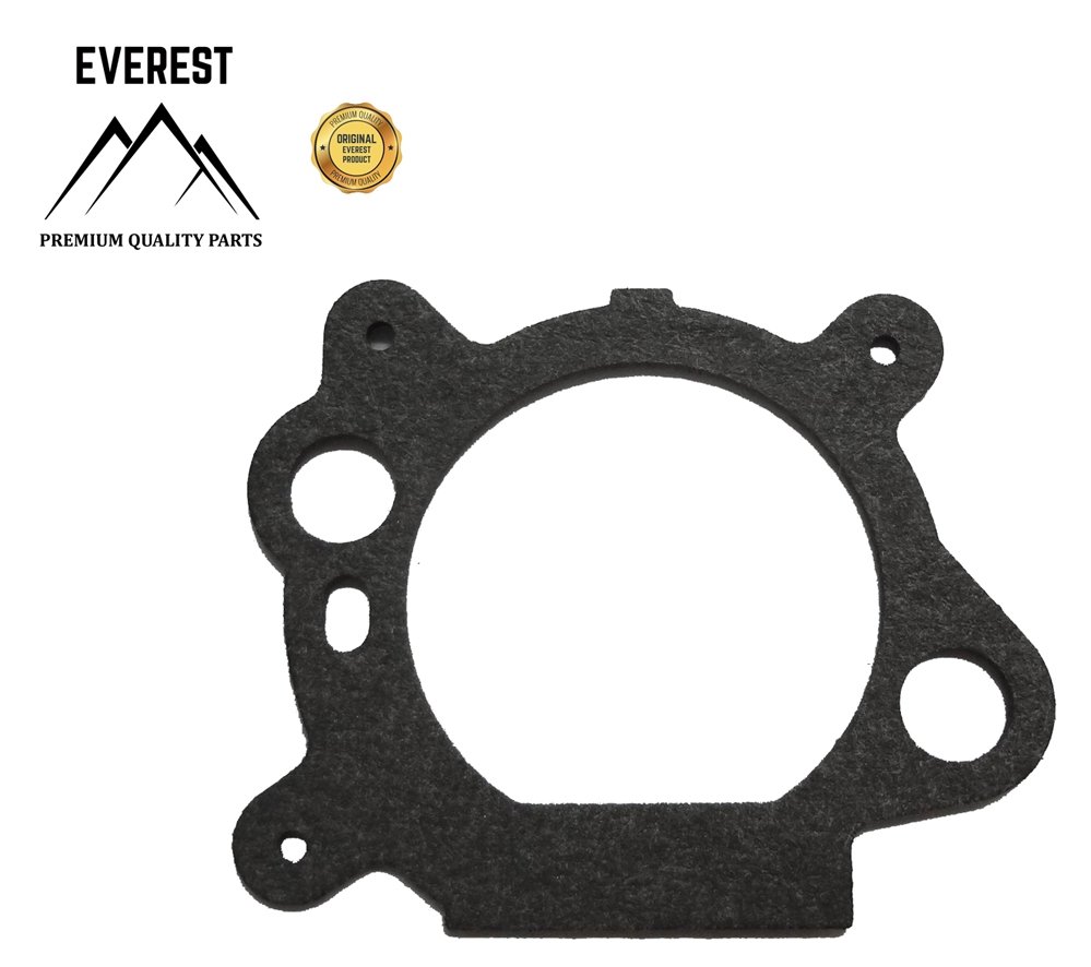 Oro filtro tarpinė Briggs & Stratton Quantum