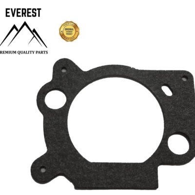 Tarpinė oro filtro Briggs & Stratton OHV