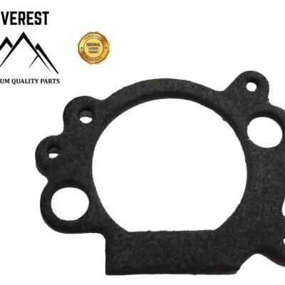 Tarpinė oro filtro Briggs & Stratton OHV