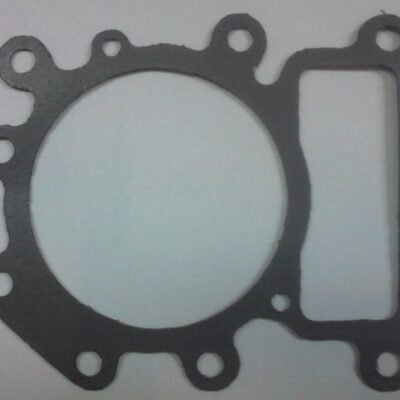 Cilindro galvutės tarpinė Briggs & Stratton 15-19 AG OHV AVS