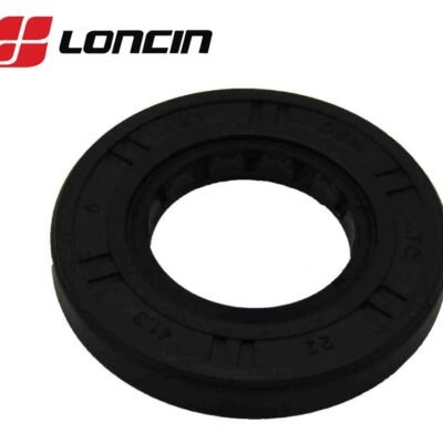 Riebokšlis viršutinis veleno LONCIN LC1P65FE