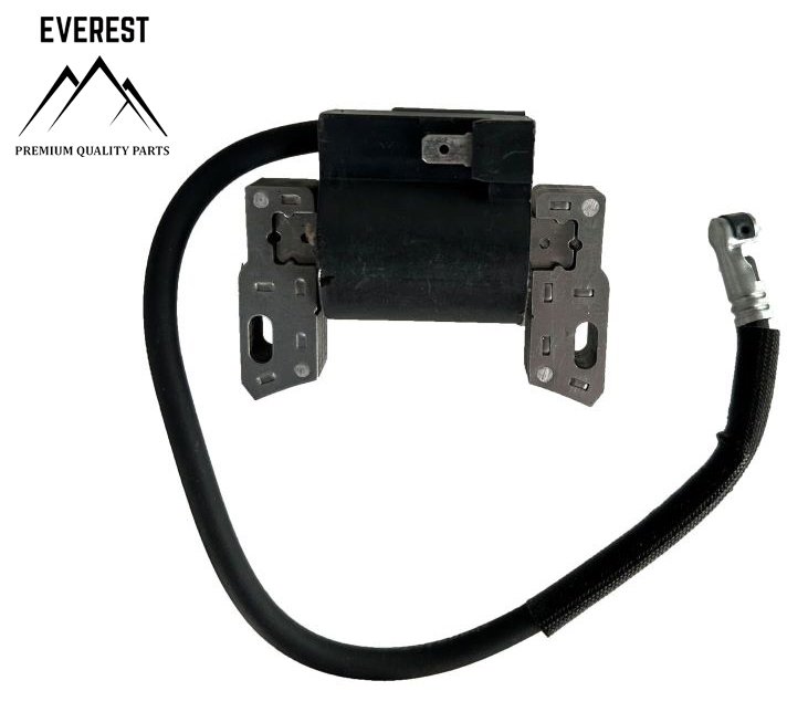 Smagračio fiksatorius Briggs & Stratton