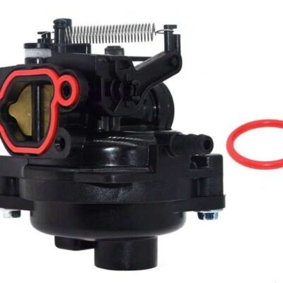 Karbiuratorius Briggs & Stratton serijos 550e, 575ex Auto-choke