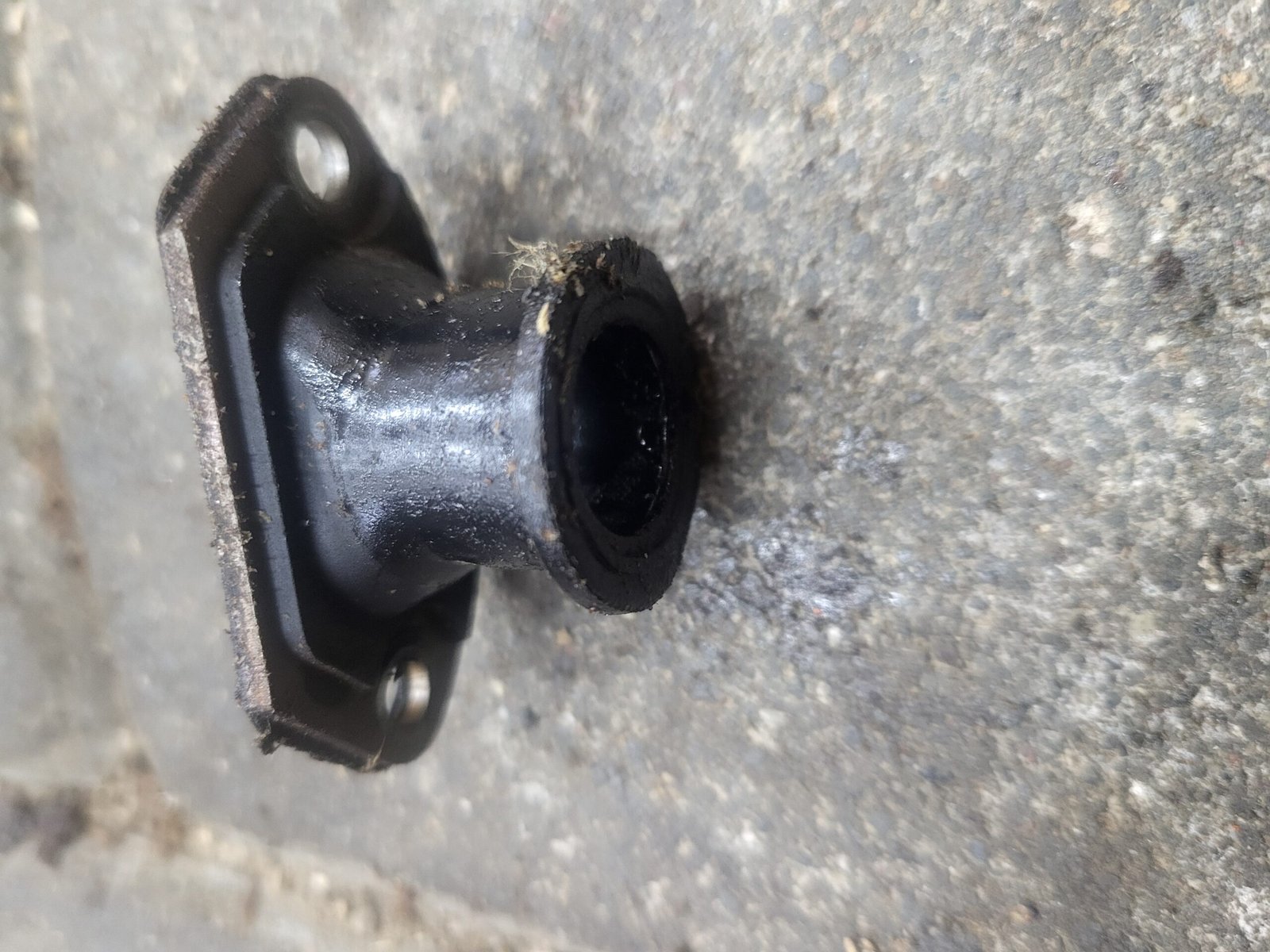 Alpina C50 Įsiurbimo kolektorius - Image 2