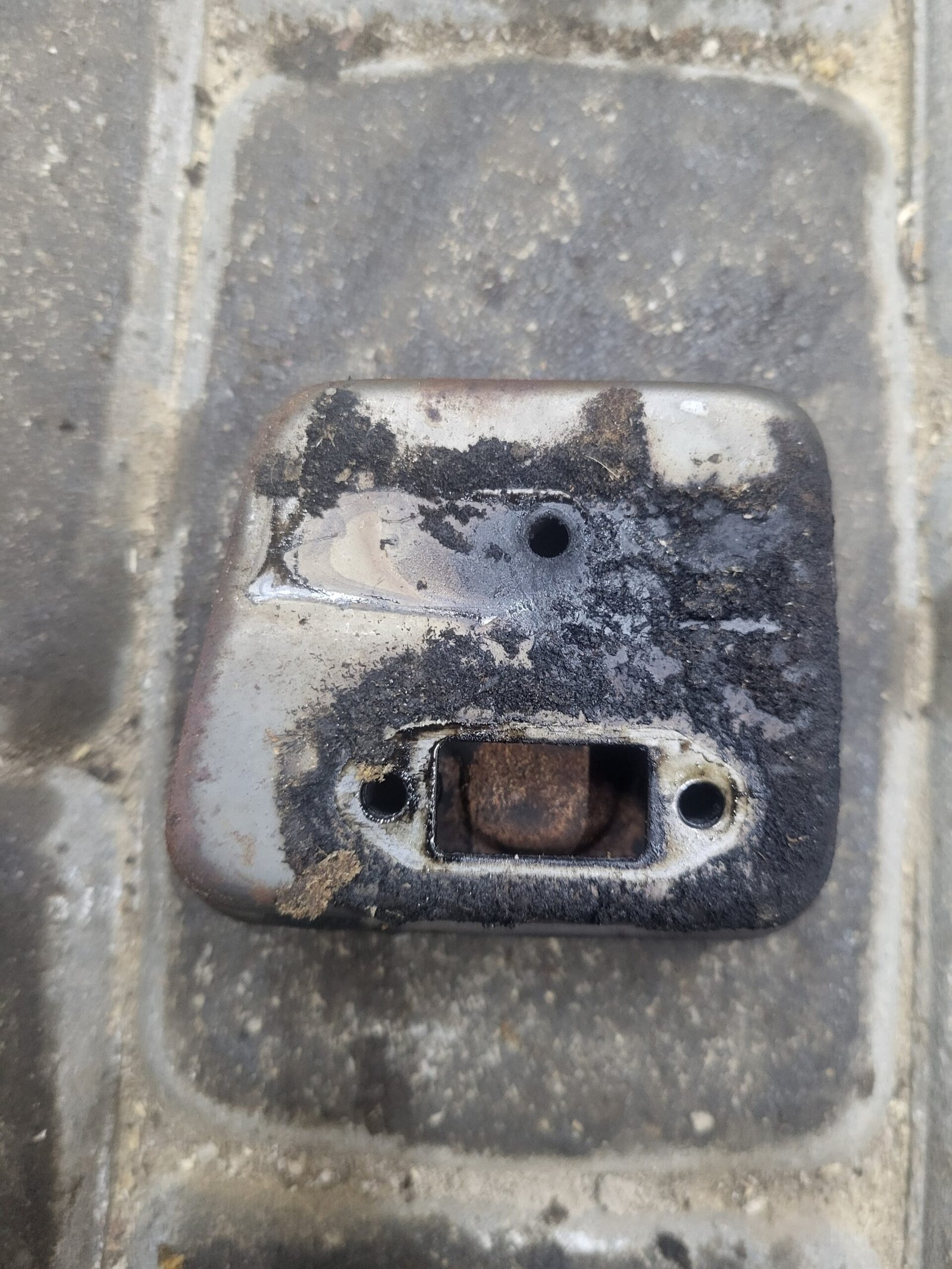 Alpina C50 Duslintuvas - Image 2