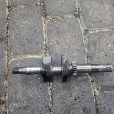 Briggs & Stratton 3.5HP Alkūninis velenas