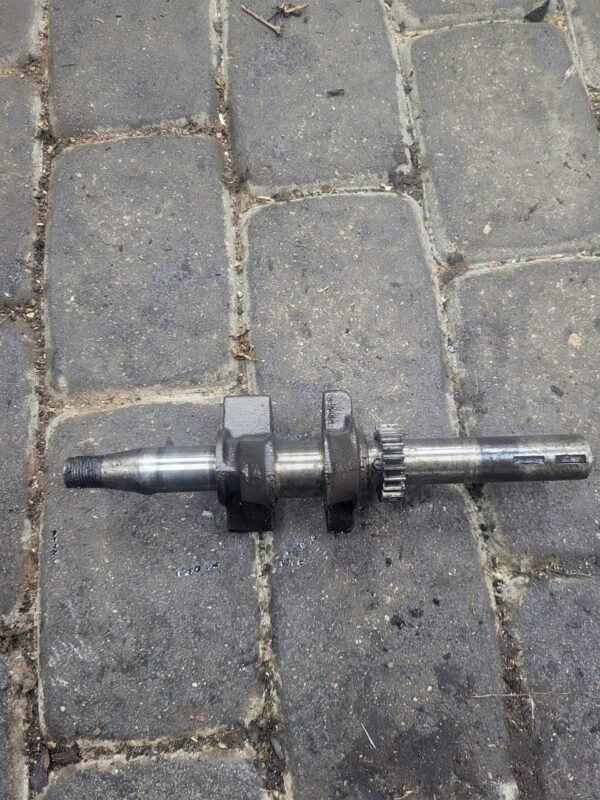 Briggs & Stratton 3.5HP Alkūninis velenas