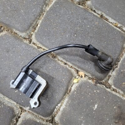 Kinietiško trimerio Uždegimo ritė