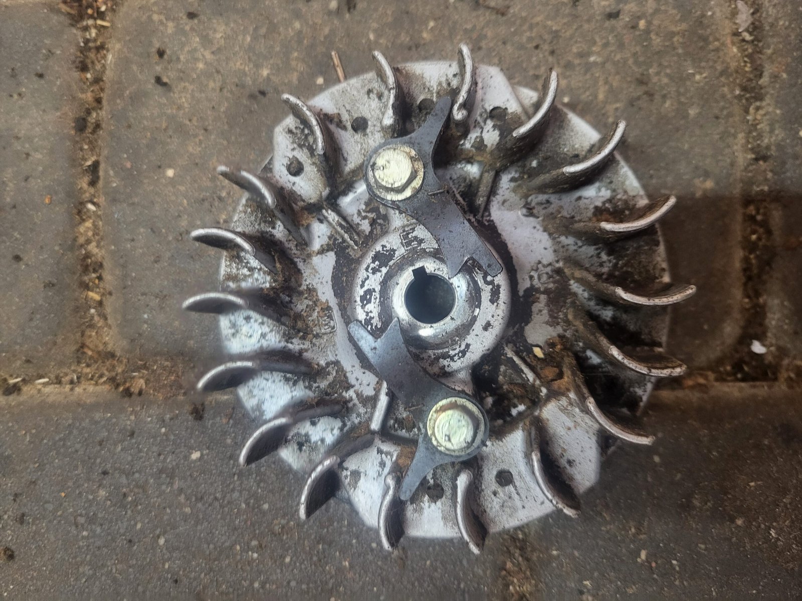 Echo 510EVL Smagratis