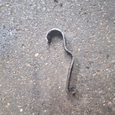 STIHL MS180 Išjungimo svirtis