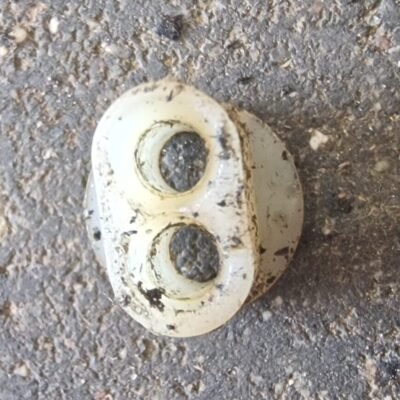 JOBU LP5BS Karbiuratoriaus reguliavimo varžtų mova