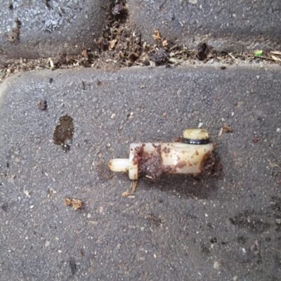 STIHL 023C Kuro žarnelės jungtis