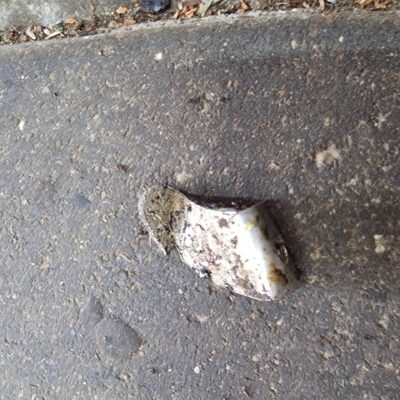 Makita DCS5001 Grandinės gaudyklė