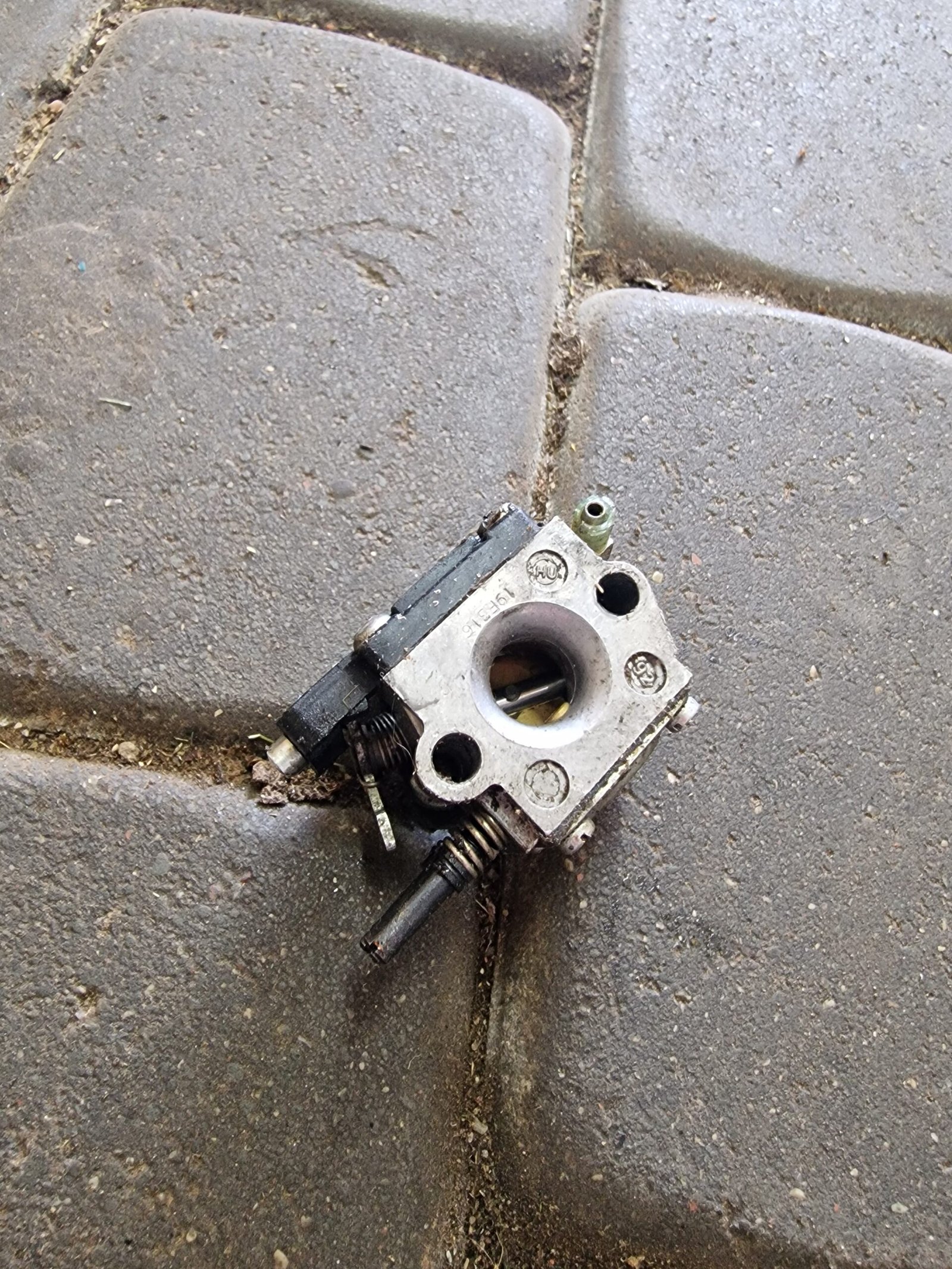 Alpina Prof-45 Karbiuratorius