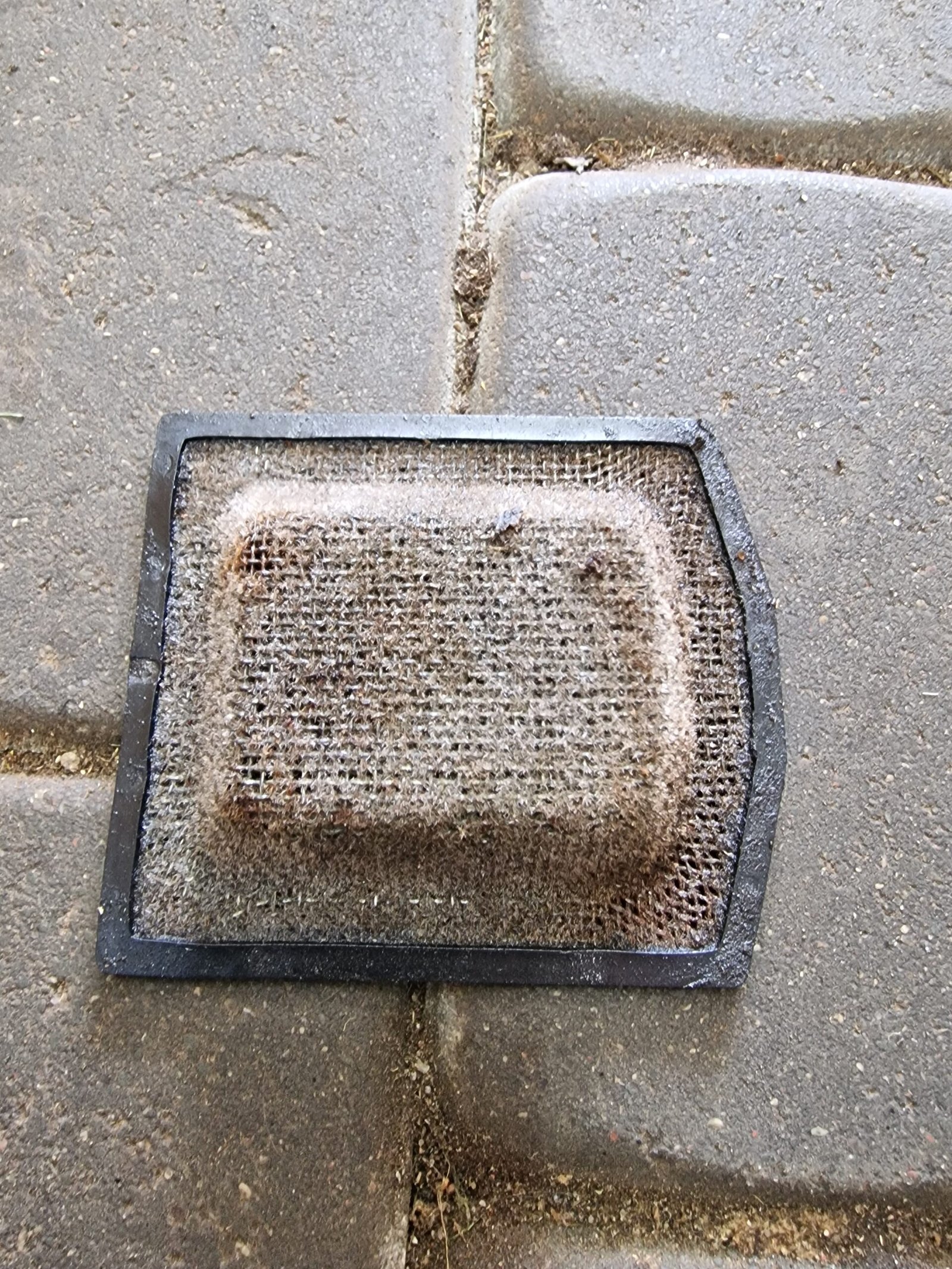 Alpina Prof-45 Oro filtras