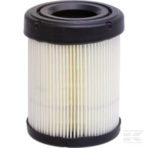 Oro filtras Briggs & Stratton