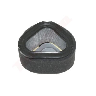Oro filtras KOHLER CV15 Komplektas 12083-05, 12083-09S, 12883-051 111x189x71