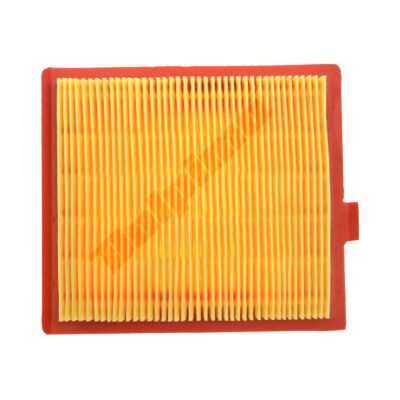 Oro filtras GGP STIGA SV150 18550147/0, 111-9169-01 123x110x19,5