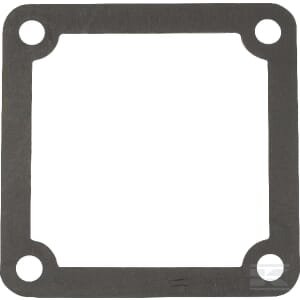 Išmetimo tarpinė Briggs & Stratton