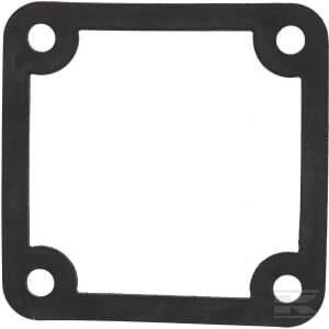 Duslintuvo tarpinė Briggs & Stratton