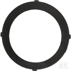 Įsiurbimo tarpinė Briggs & Stratton