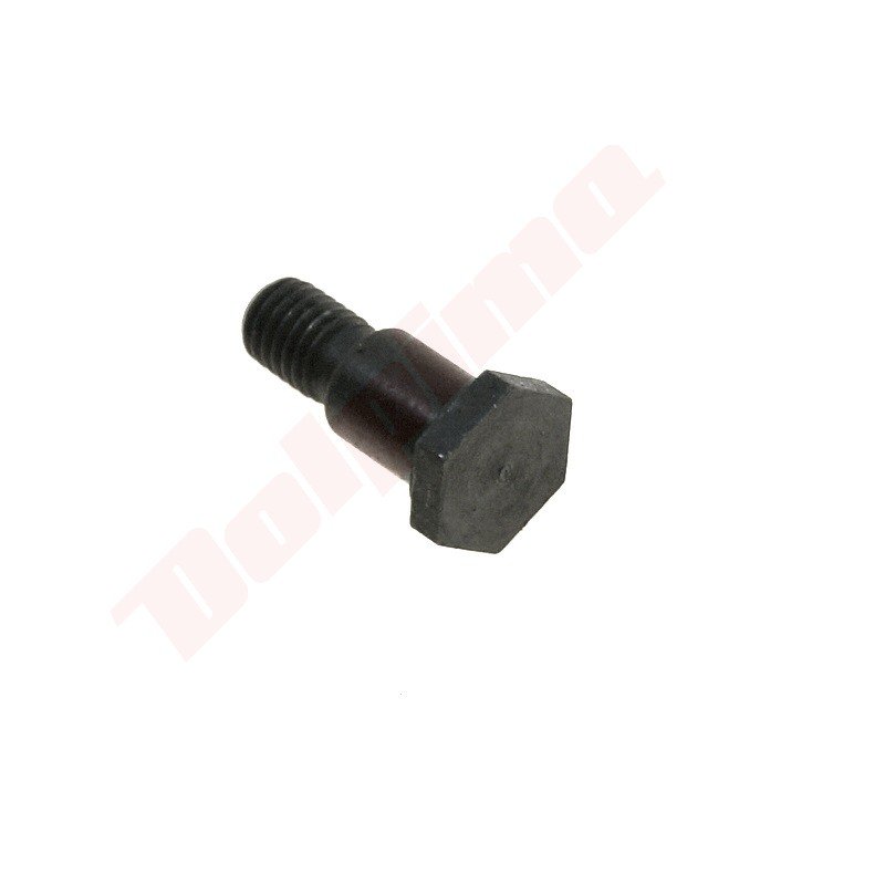 Sankabos varžtas Honda GX35 22253-ZM5-003 8 mm
