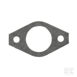 Įsiurbimo tarpinė Briggs & Stratton