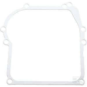 Skriemulio dėžės tarpinė Briggs & Stratton