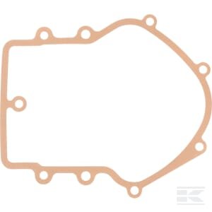 Skriemulio dėžės tarpinė Briggs & Stratton