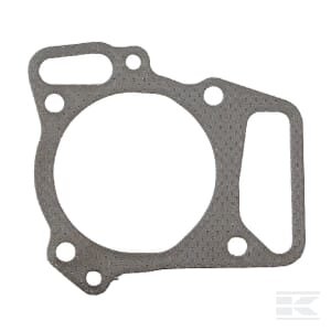 Cilindro galvutės tarpinė Briggs & Stratton