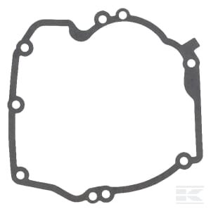 Skriemulio dėžės tarpinė Briggs & Stratton