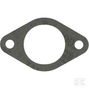 Įsiurbimo tarpinė Briggs & Stratton