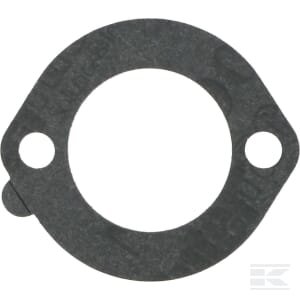 Filtro tarpinė Briggs & Stratton