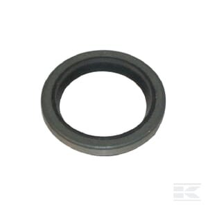 Alyvos riebokšlis Briggs & Stratton