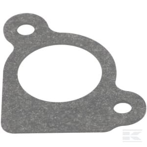 Įsiurbimo tarpinė Briggs & Stratton