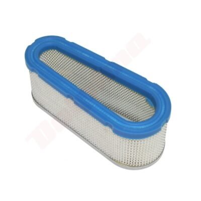 Oro filtras TECUMSEH OHV 36356