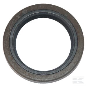 B&S apatinio veleno sandariklis, vieno cilindro, vertikalus/horizontalus (C) – ORIGINALI DALIS