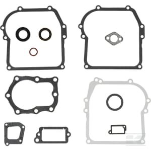 Tarpinių komplektas Briggs & Stratton