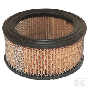 Oro filtras Briggs & Stratton