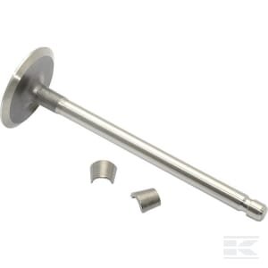 Įsiurbimo vožtuvas Briggs & Stratton