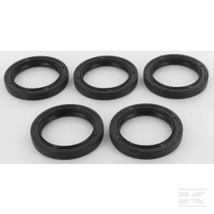 Alyvos sandarikliss 5 x 291675S Briggs & Stratton