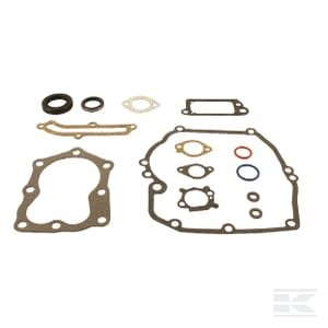 Tarpinių komplektas Briggs & Stratton