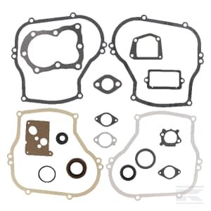 Tarpinių komplektas Briggs & Stratton