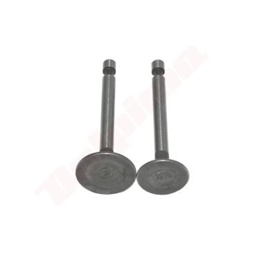 Dekompresinis vožtuvas LONCIN 154F 500550033-T020