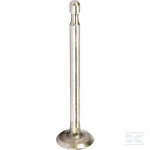 Išmetimo vožtuvas Briggs & Stratton