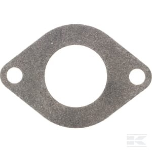 Įsiurbimo tarpinė Briggs & Stratton